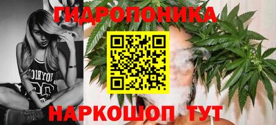 каннабис Владимир