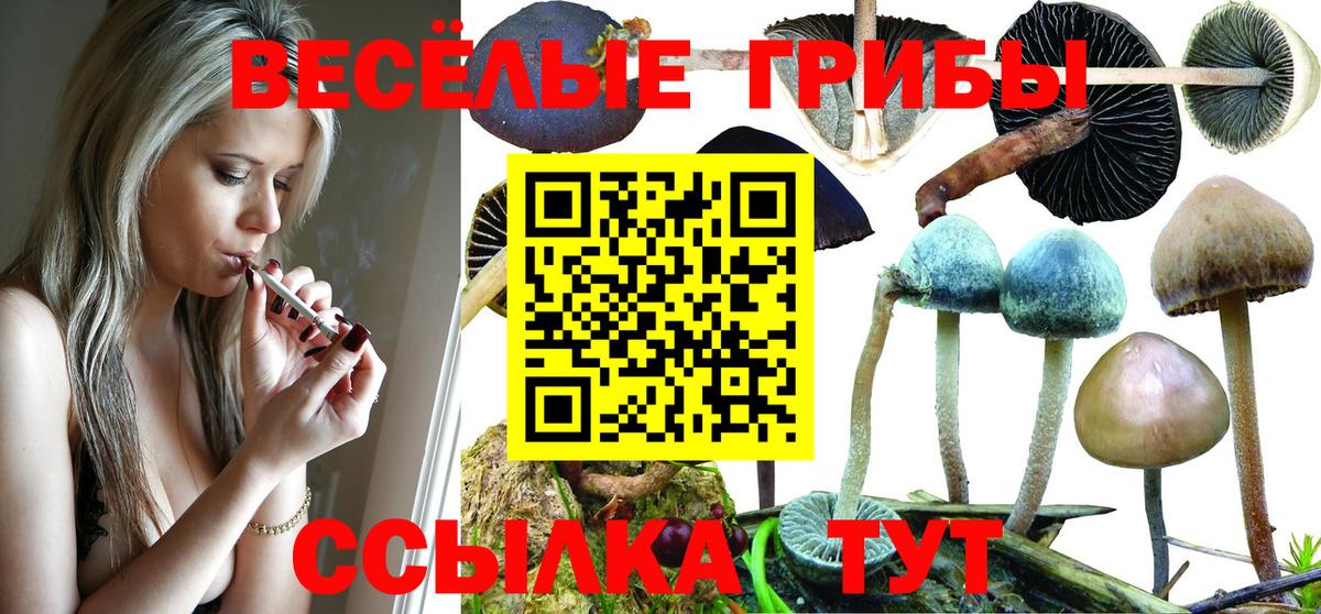 Псилоцибиновые грибы ЛСД Азов